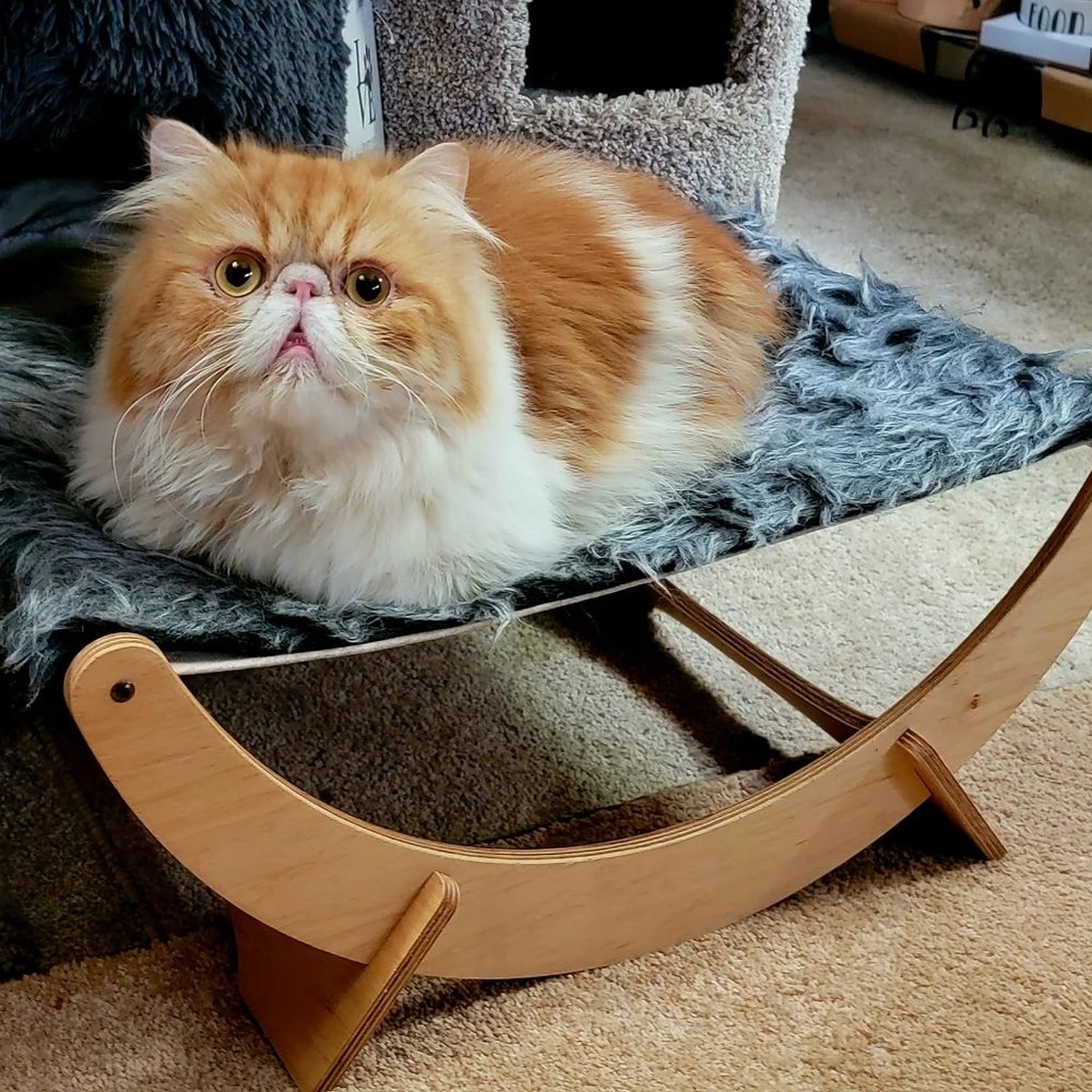 Pet Bed Hammock.. Cat or Dog.. Bran New!